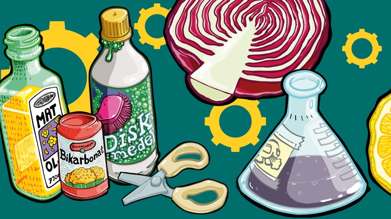Kollage av föremål: en flaska matolja, en burk bikarbonat, en diskmedelsflaska, en sak, sen halv rödkål, en kolv med lila vätska, en halv citron. Illustration. 